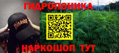 прущий лед Кандалакша