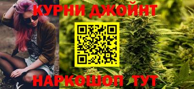сатива Камышлов
