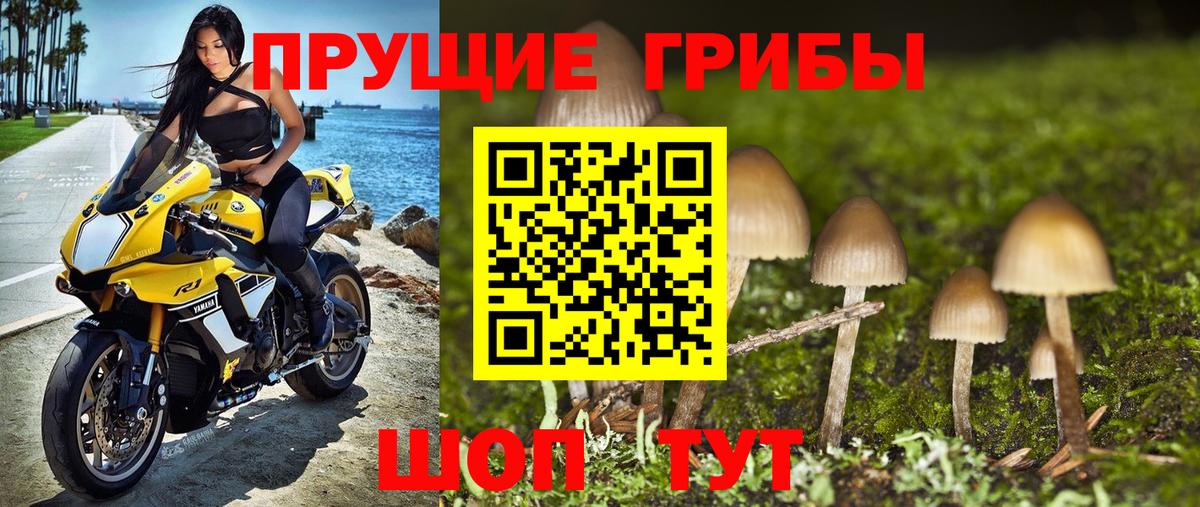 Псилоцибиновые грибы Magic Shrooms Тимашёвск