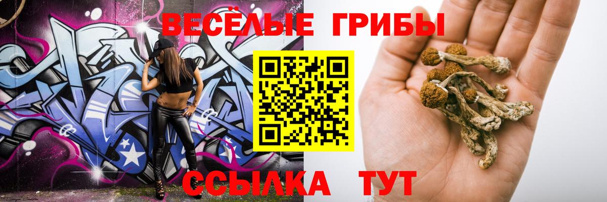 Галлюциногенные грибы Cubensis  Вход с VPN  Тимашёвск 